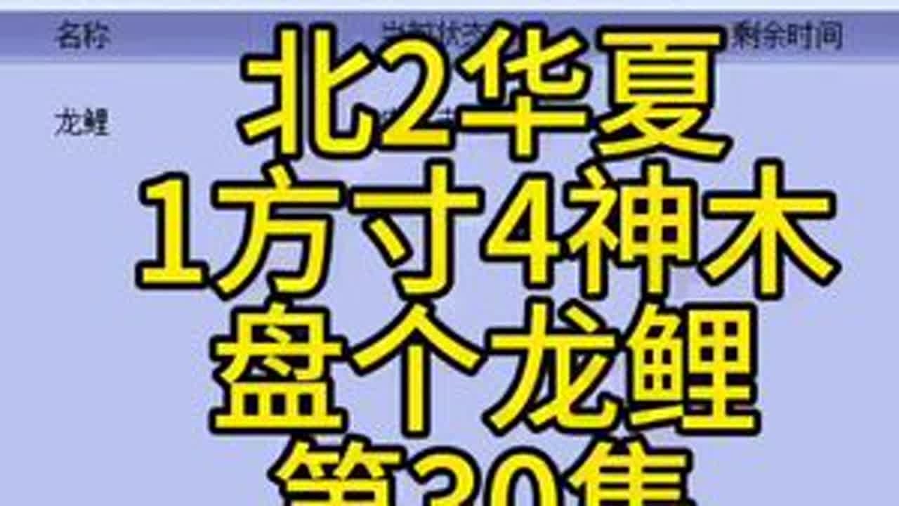 北2华夏，1方寸4神木。给自己搞一组全力！第30集#梦幻西游 #梦幻西游电脑版 #梦幻西游创梦计划 #梦幻西游华夏