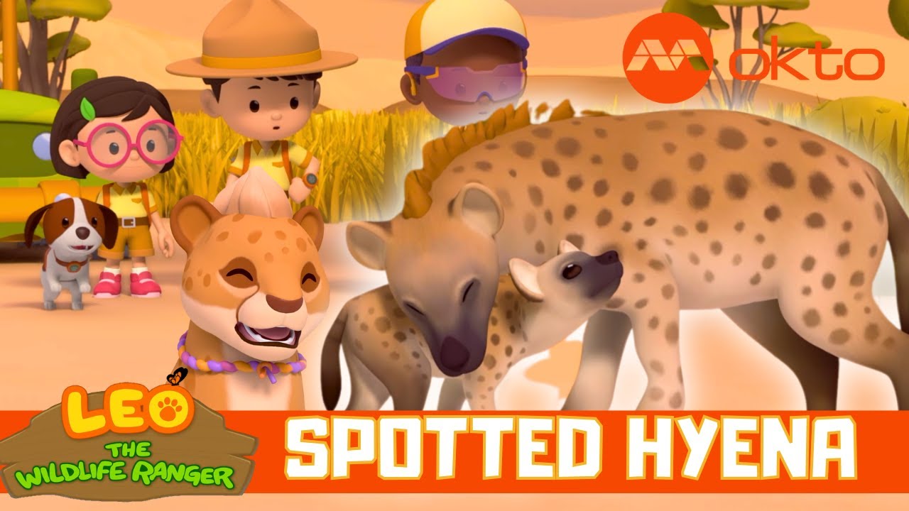 Zumi Finds BABY HYENA Adventure 🦝🐾| Leo the Wildlife Ranger Spinoff S6E12 | @mediacorpokto