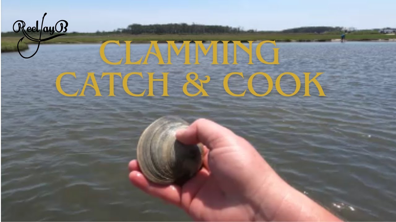 Clamming/Crabbing Catch & Cook - No Boat Needed!!  Assateague Island