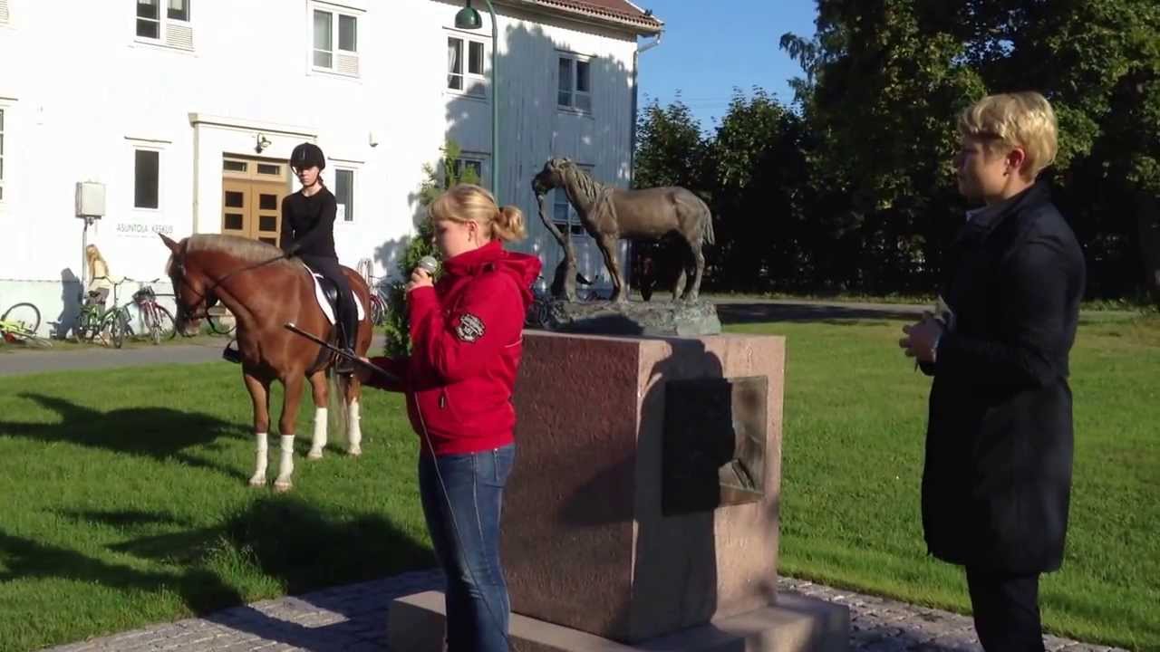 Suomenhevosen julistus