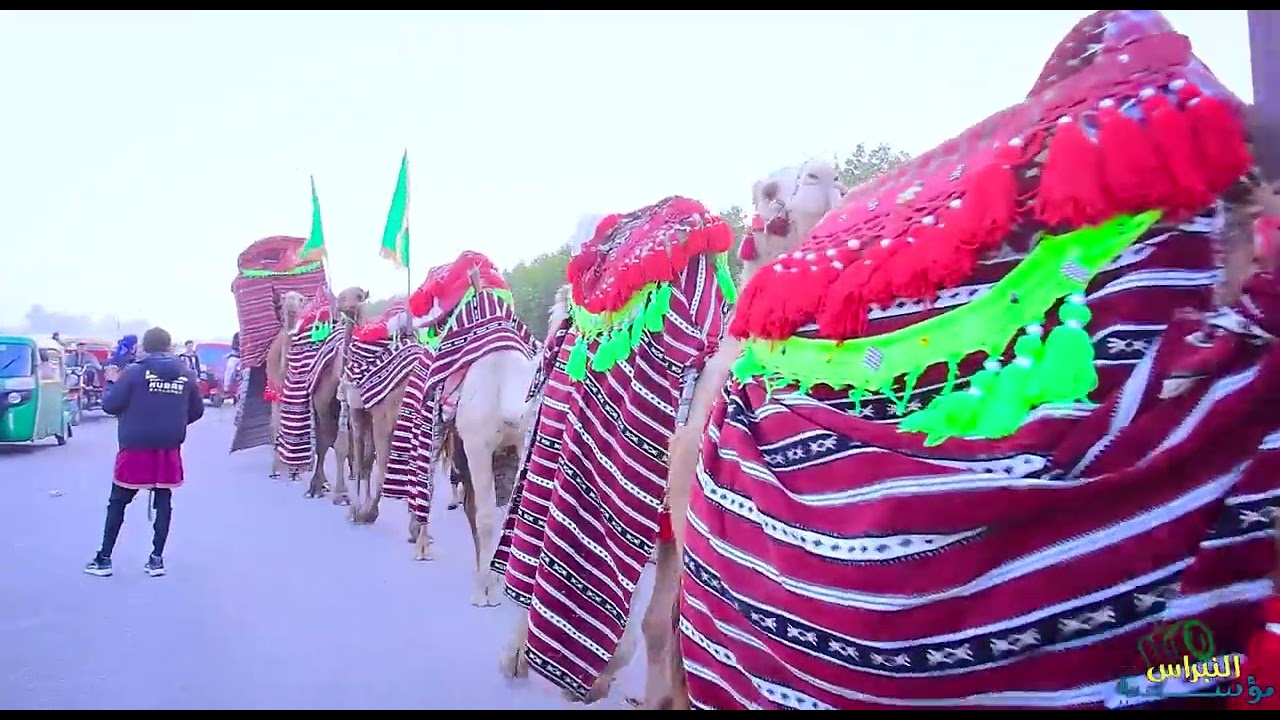 ستعراض ضعن الهواشم واسط شيخ سعد في ناحيه نبي الله العزير ع