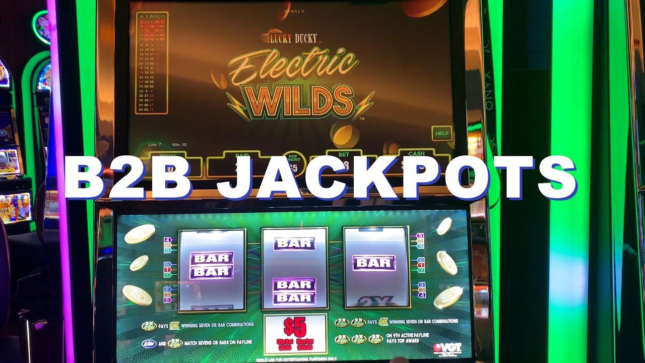 B2B JACKPOTS 🎰 $90 Bets on Lucky Ducky