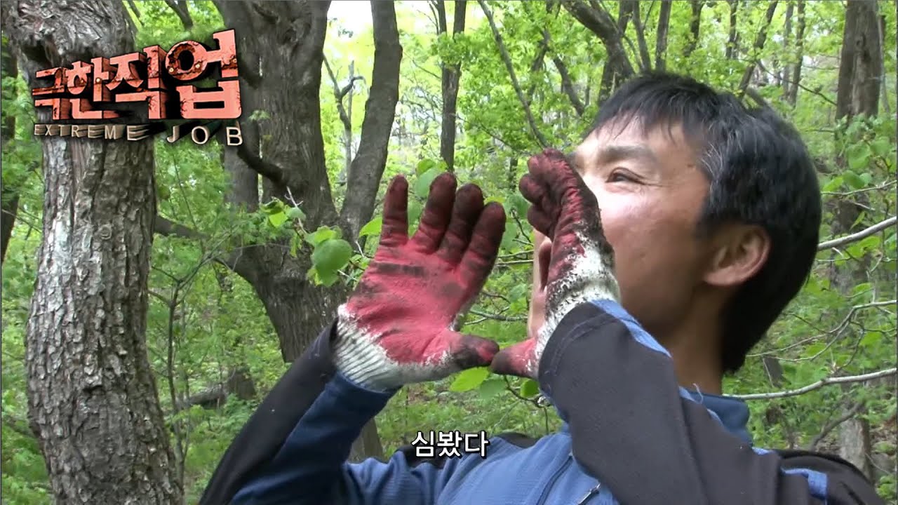 [극한직업] 산삼 캐는 사람들 1~2부