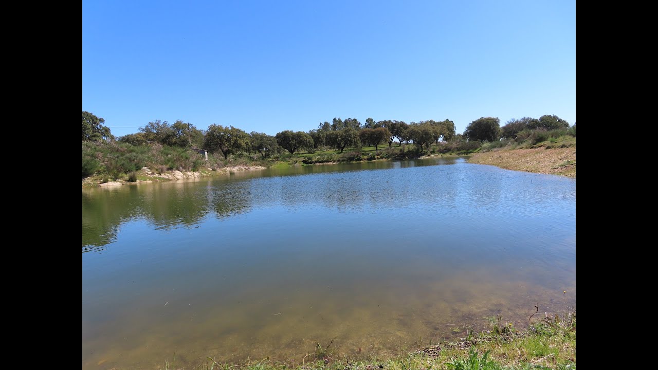 Buy a Homestead in central south of Portugal / 35ha attach with a river and 2 big ponds / € 240.000