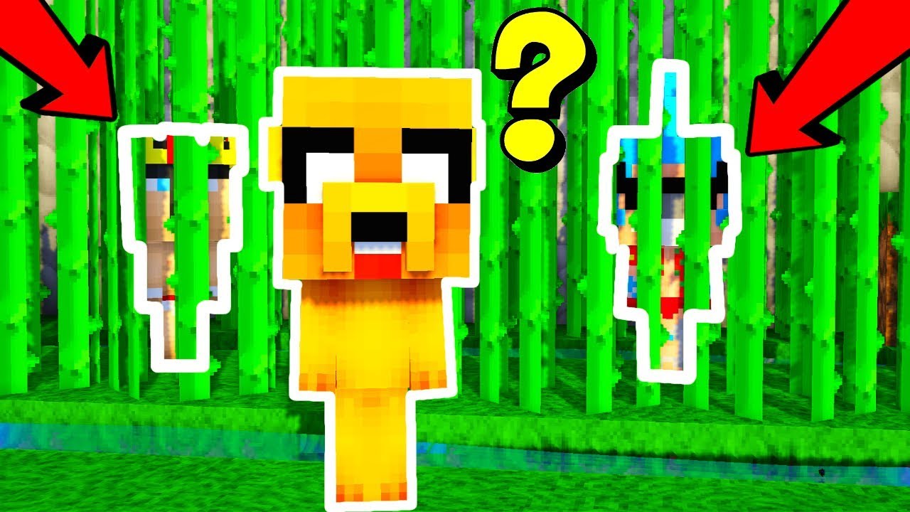 EL MEJOR ESCONDITE DE TODO MINECRAFT 😂 NADIE PUEDE VERNOS 😆 MINECRAFT TROLL