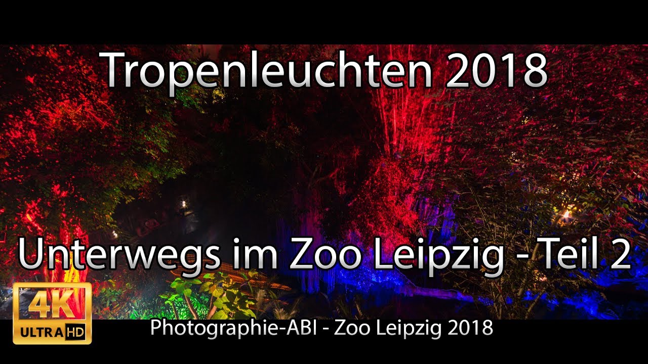Tropenleuchten im Gondwanaland - Zoo Leipzig - Sony Alpha 6000/6300/6500 Walimex/Samyang 12 mm