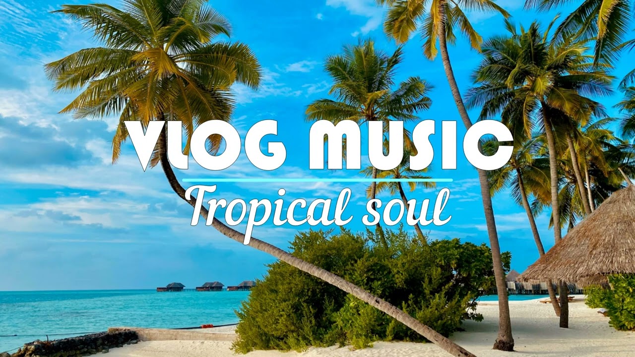 vlog no copyright background music - tropical soul