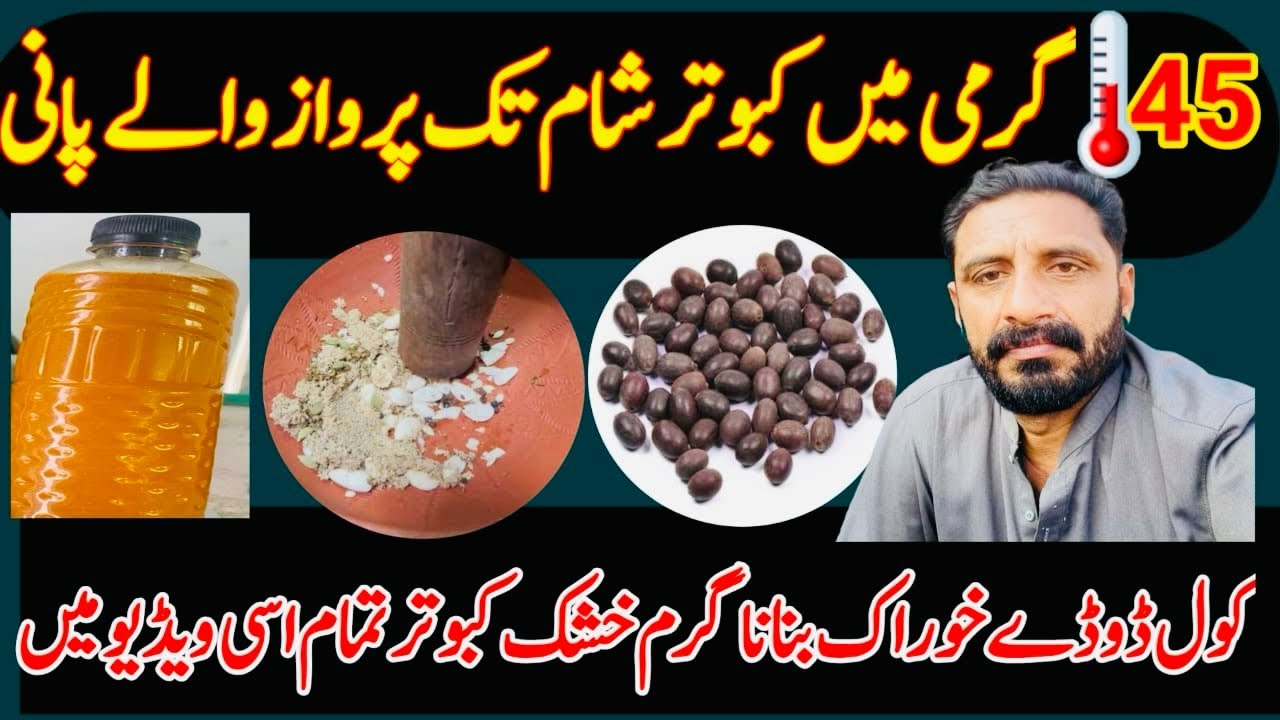 45 🌡️GARMI ME SHAM TAK PARWAZ WALY PANI 