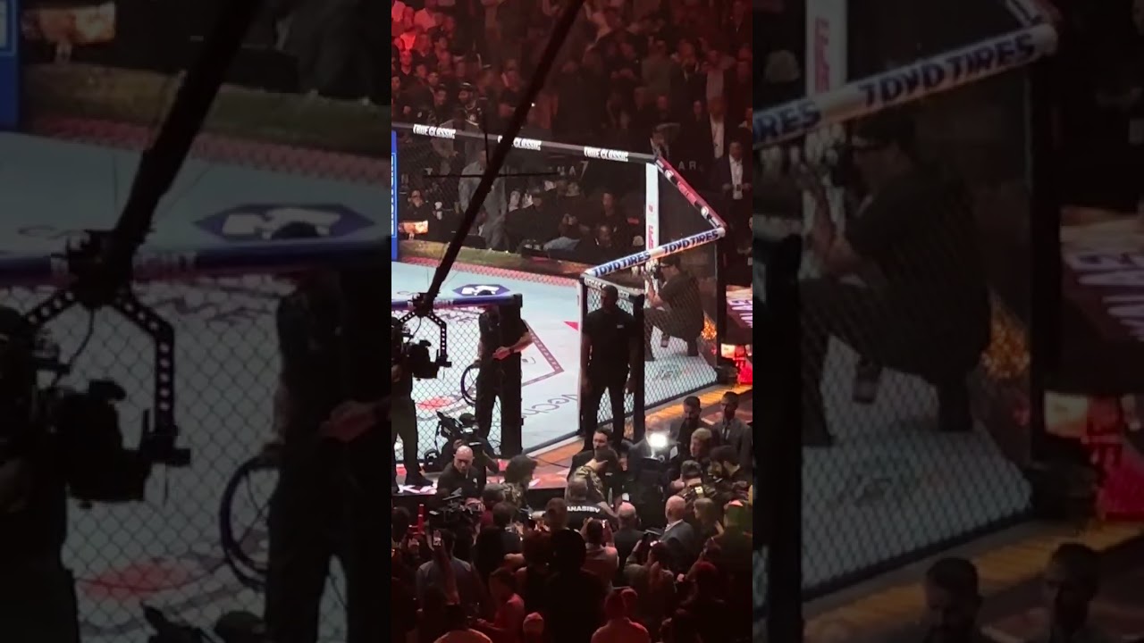 Ankalaev walkout 