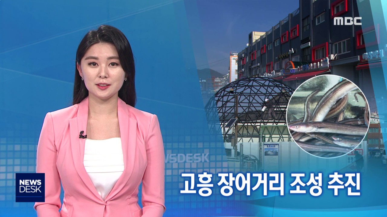 고흥 장어거리 조성 추진-R (181127화/뉴스데스크)