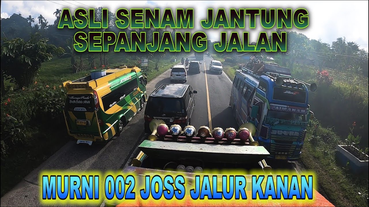WAJIB DI ACUNGI JEMPOL KEBERANIAN SUPIR INI || SEMUA DIBARBARNYA