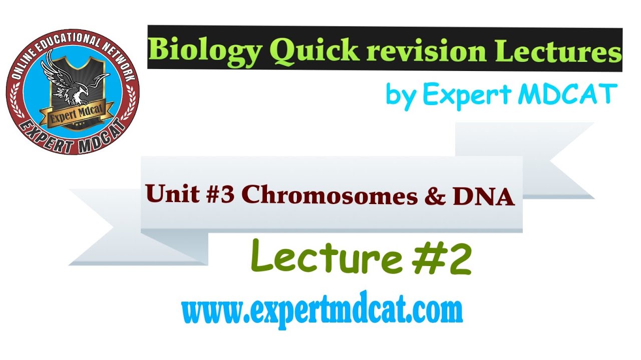 Chromosomes & DNA Lecture-2|MDCAT Biology 2020|Expert Quick revision lectures