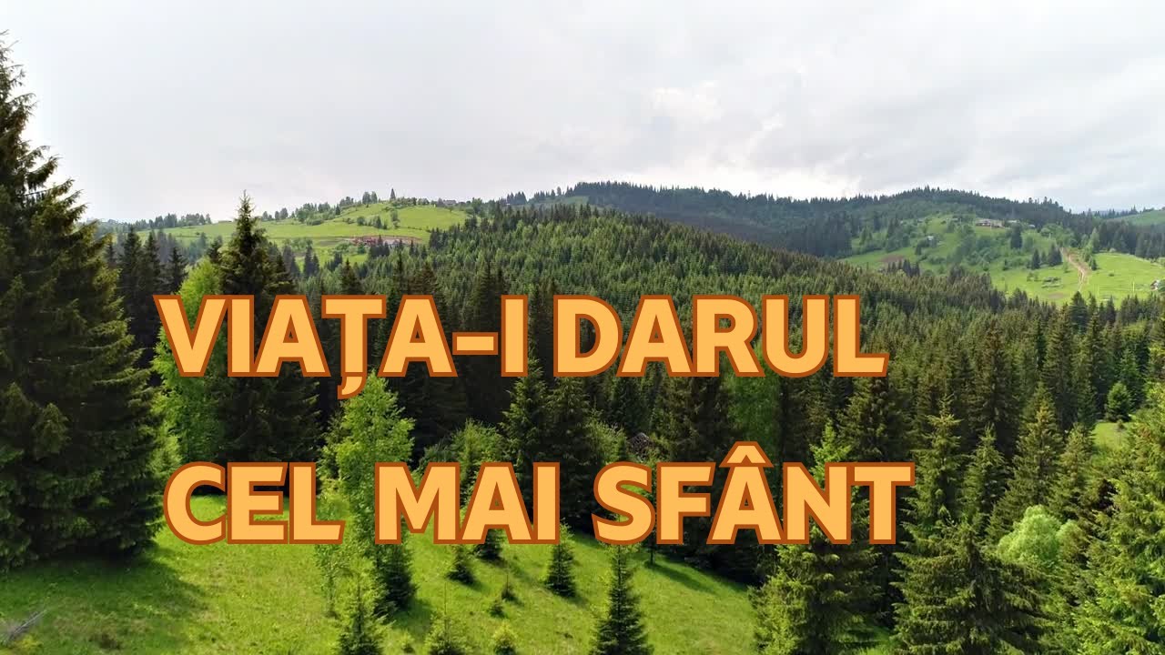 🎶 Viața-i Darul Cel Mai Sfânt – Cântec cu Suflet și Adevăr Românesc