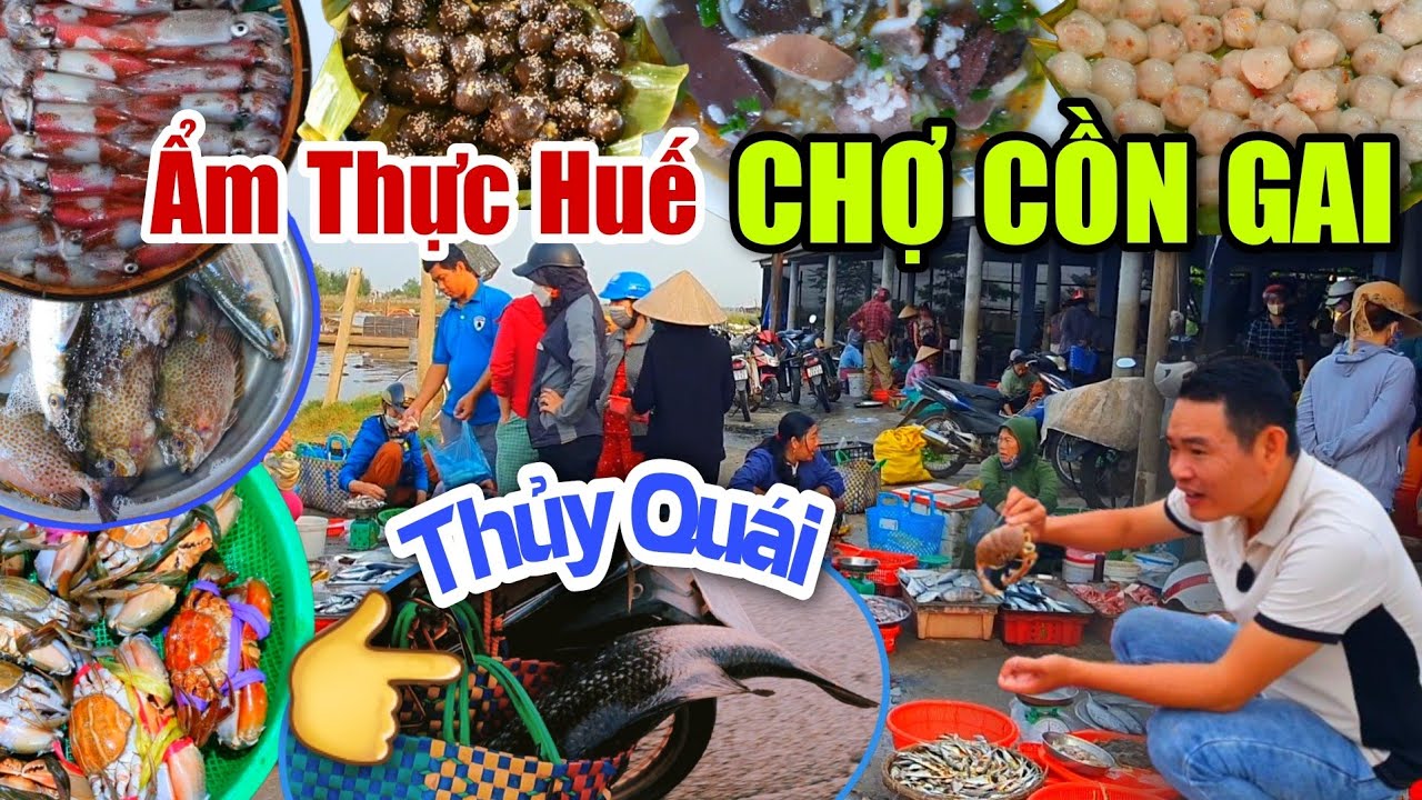 Ẩm Thực Huế CỢ CỒN GAI - Bất Ngờ Gặp Ngư Dân Trúng THUỶ QUÁI Trên Đường Về Phá Tam Giang