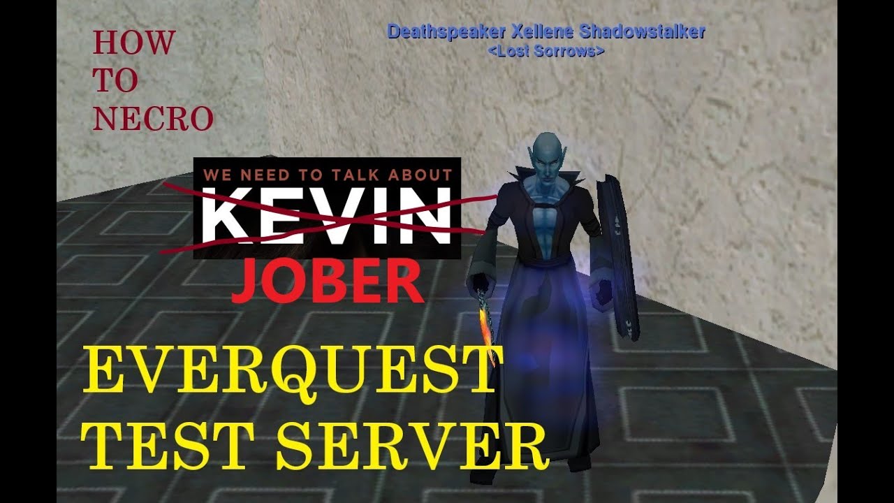 How to EverQuest Necromancer - JOBER.  Lets look at our pet options.