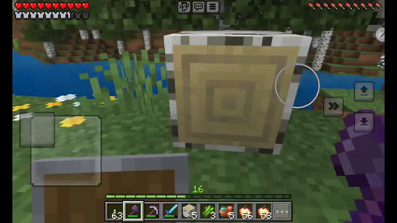 Minecraft ev yapma