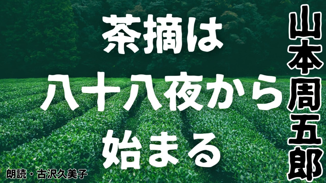 【朗読】山本周五郎「茶摘は八十八夜から始まる」