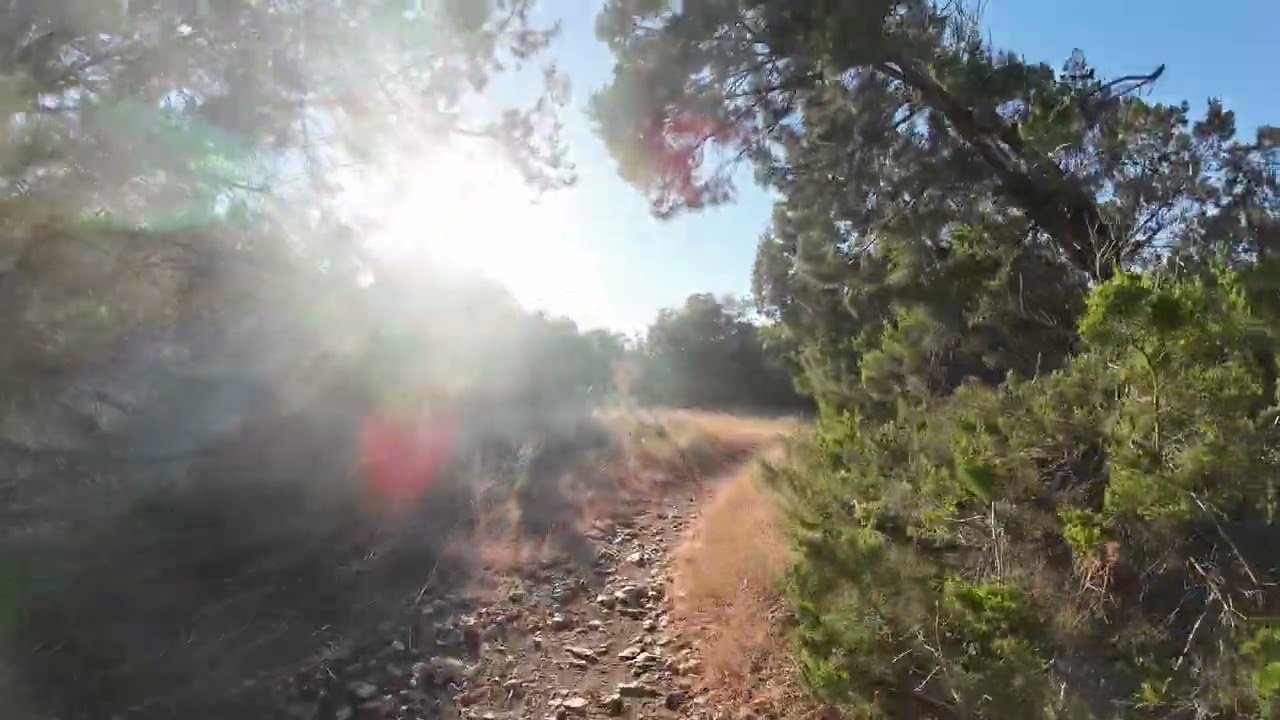 1/4 notch, brushy creek, gt force comp, cyc x1 stealth motor