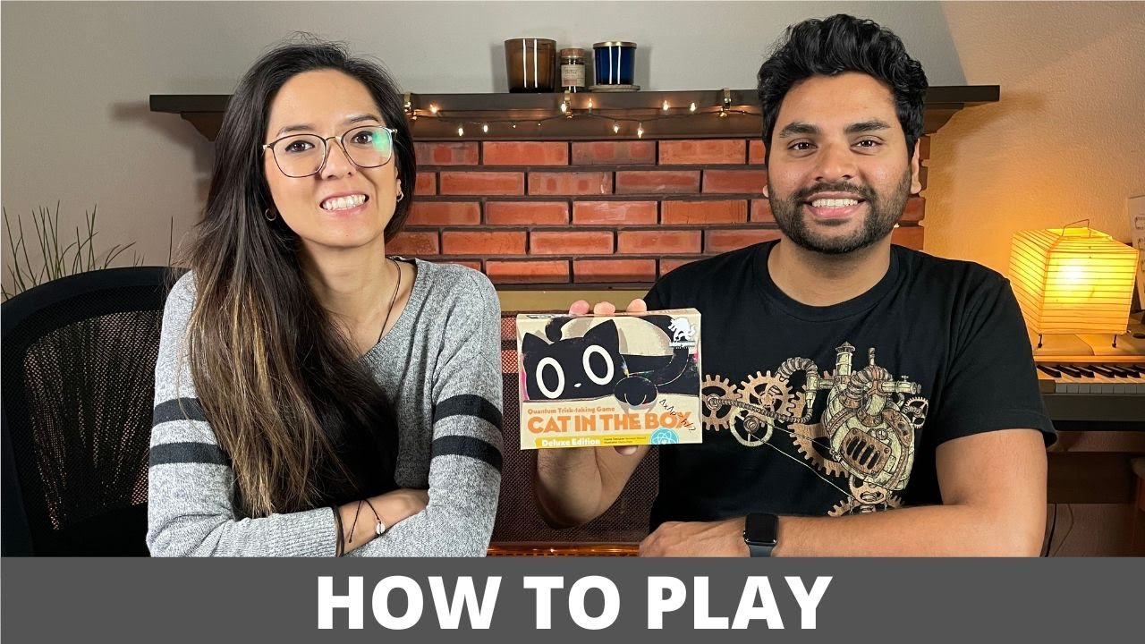 Cat in the Box: Deluxe Edition — Как играть