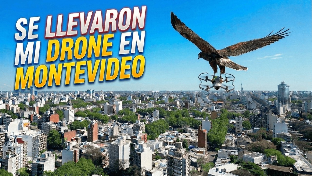 Me atacaron halcones en Montevideo y conocimos la costa de Uruguay | Viaje por Argentina Cap7