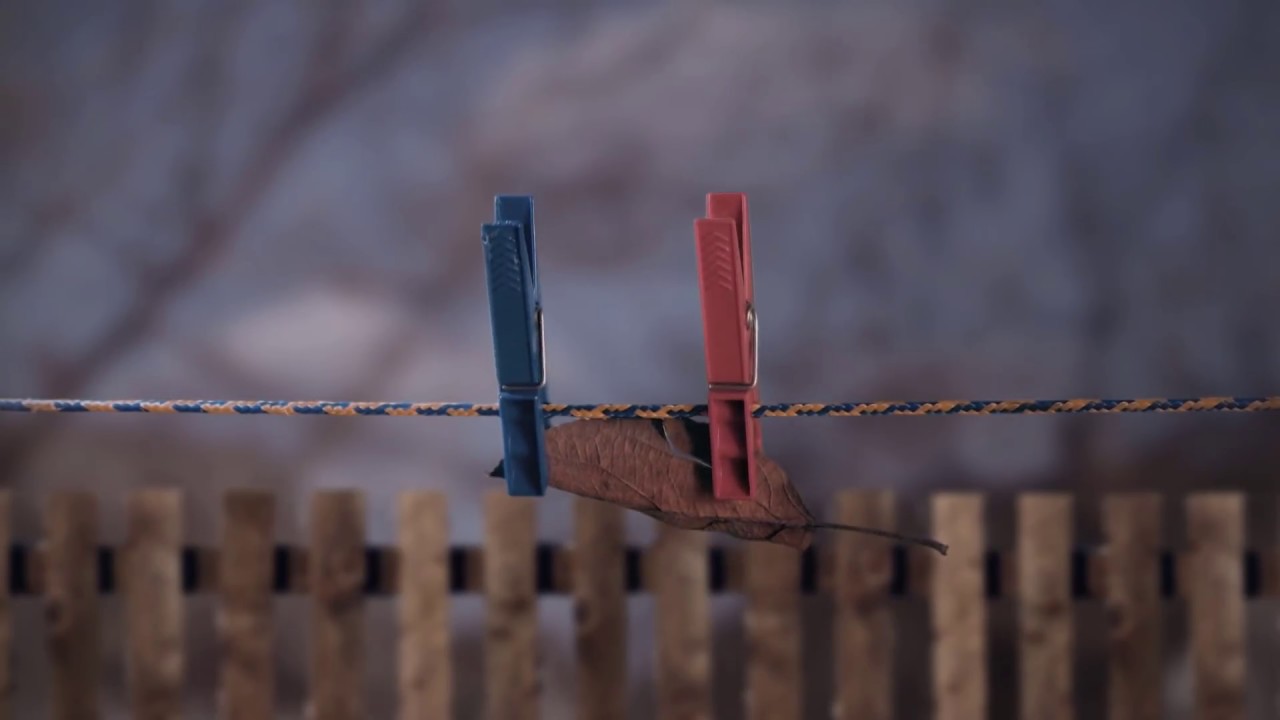 Friendship | Stop Motion Animation