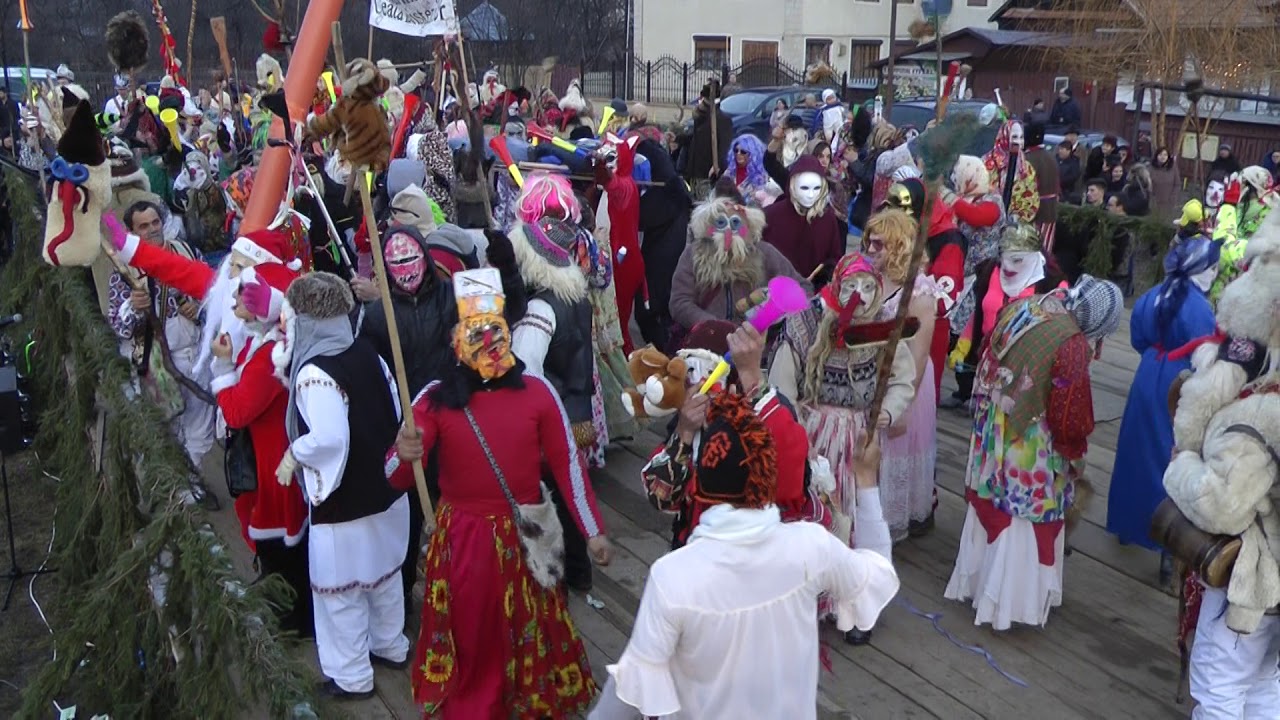 Urs Darmanesti 2018 - Ceata Boistea 1