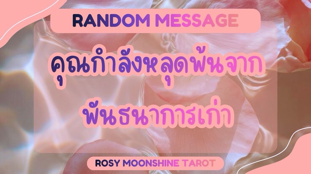 🌔 #random message🌔 จักรวาลต้องการบอกอะไรคุณ #tarot #ไพ่ยิปซี #ดูดวง #ไพ่ทาโร่