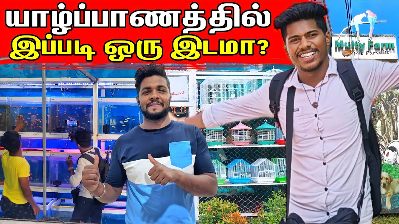 Jaffna Multy Farm | வடமாகாணத்திலுள்ள மிகப்பெரிய பண்ணை | Rj Tamizha