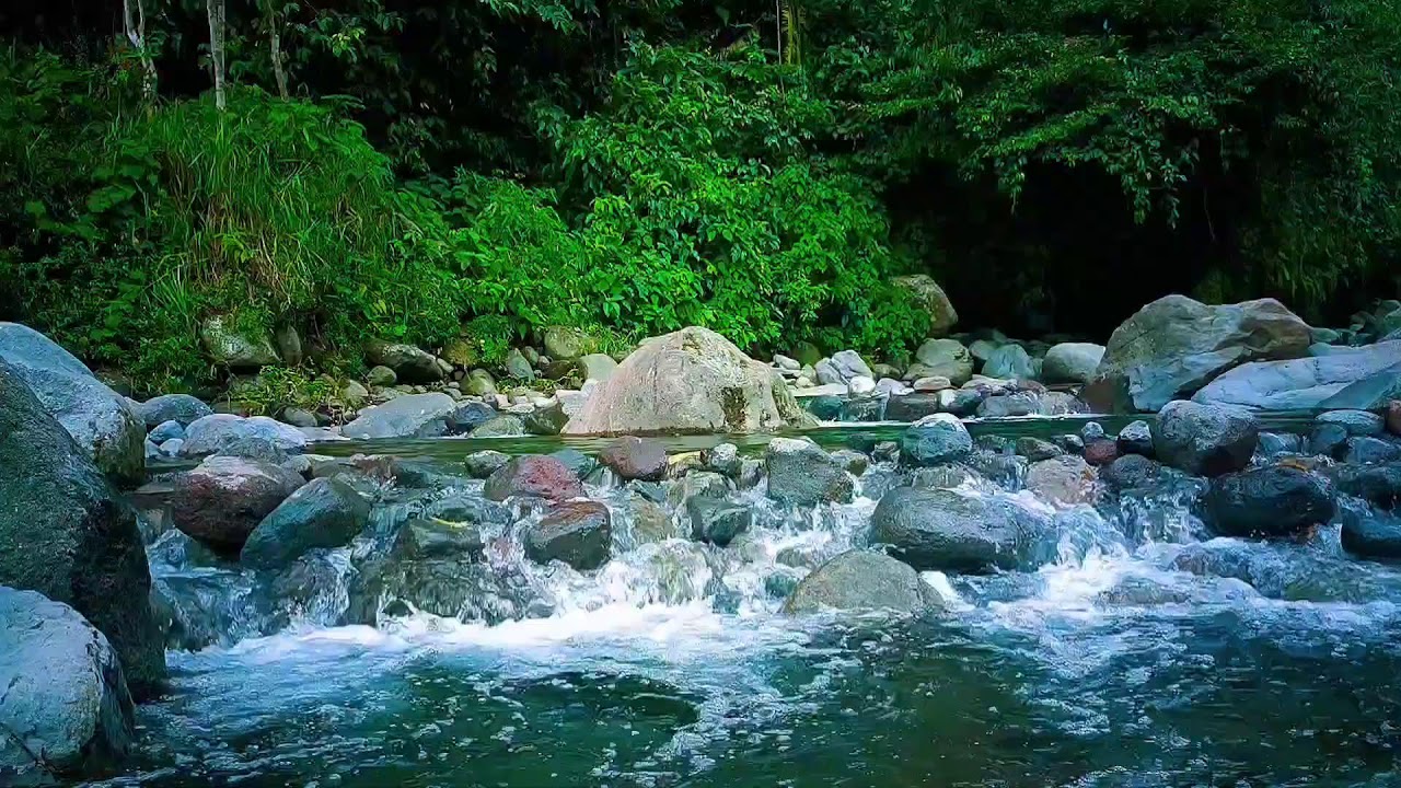 🌊 Gentle River Flowing Rocks ASMR Sounds for Deep Sleep & Relaxation