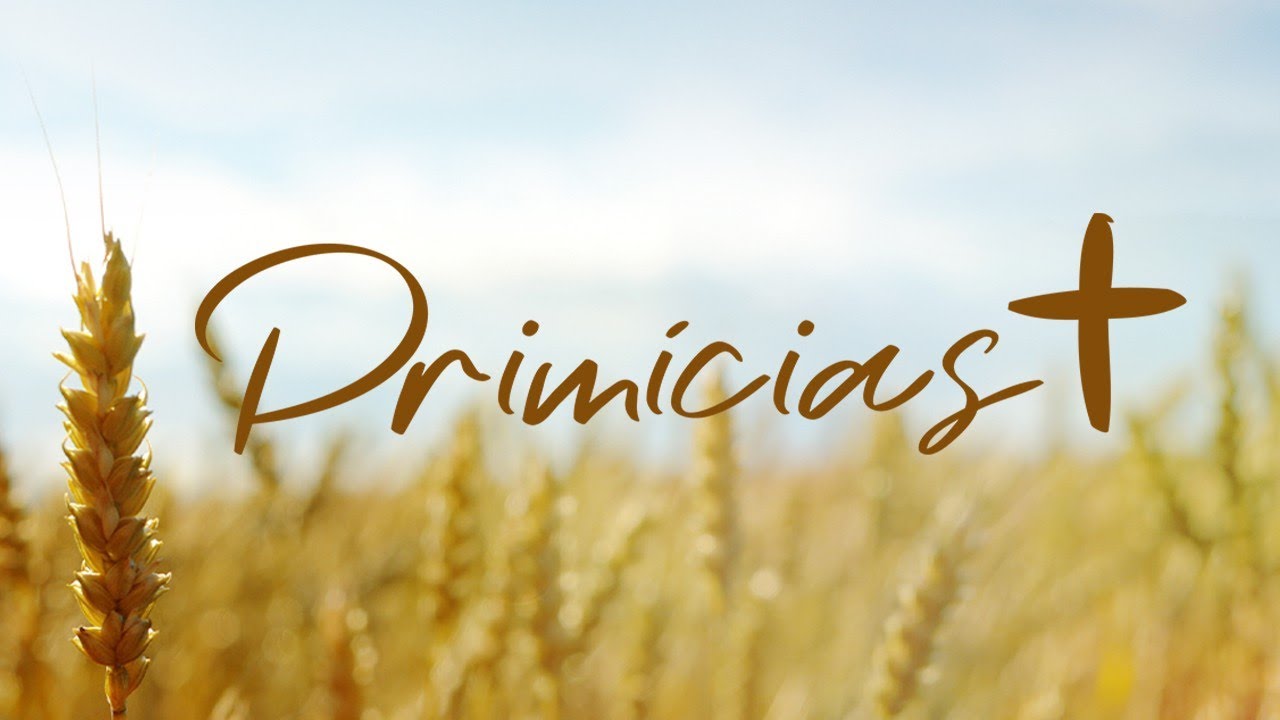 Prim&iacute;cias AMa 2020