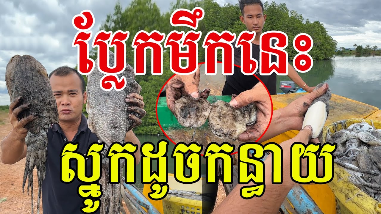 ប្លែកមឹកនេះ មានស្នូកដូចកន្ធាយ ជួបអ្នកជំនាញទើបដឹងច្បាស់