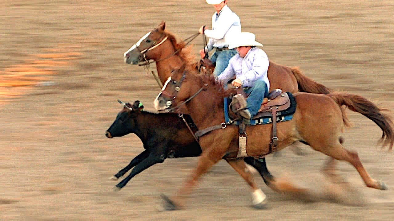 Steer Wrestling - 2019 Dumas Cowboy Classic Rodeo (Saturday)