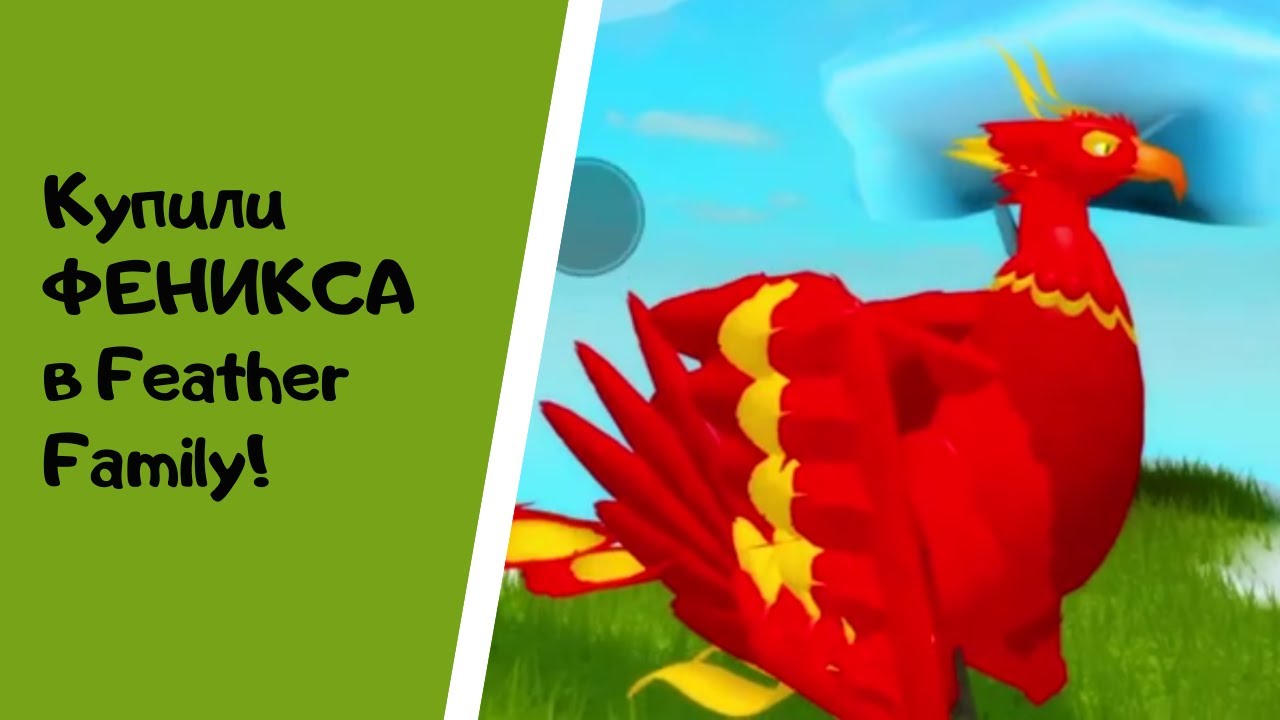 Покупаем ФЕНИКСА в Роблокс Feather Family! Как получить Феникса в Роблокс Feather Family!
