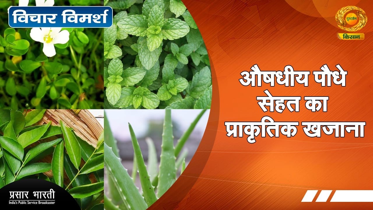 Vichar Vimarsh | विचार विमर्श: औषधीय पौधे सेहत का प्राकृतिक खजाना | DD Kisan | 21/02/2026
