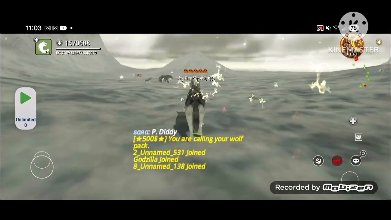 Wolf online 9.0.4 (Gameplay)