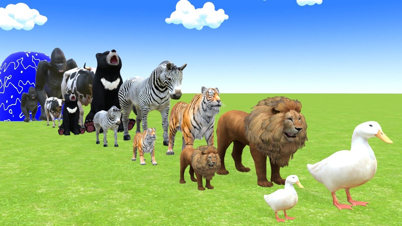 Duck Playing Long Slide Game With Cow Mammoth Bull Trex Funny Animals