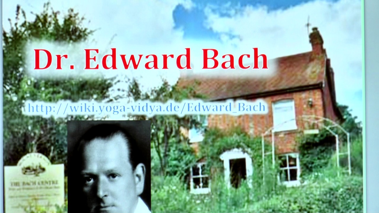 38 Bachbl&uuml;ten und ihre Wirkung