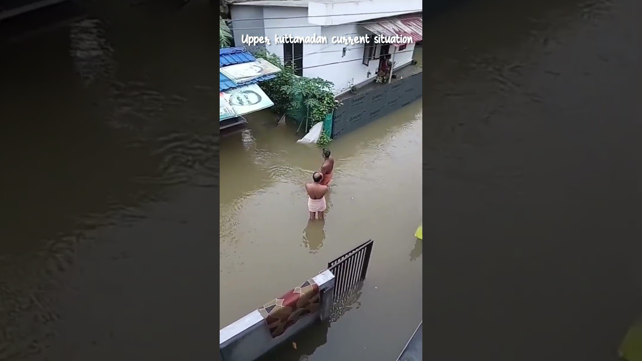 upper kuttanad #upperkuttanad #kuttanad #flood#thiruvalla #shortsfeed#youtubeshorts  #youtubeviral