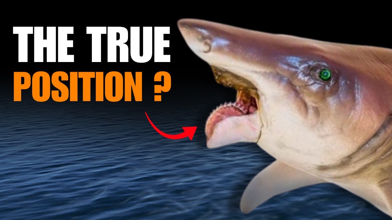 The 100-Year Mystery Of The Buzzsaw Shark | Helicoprion Documentary