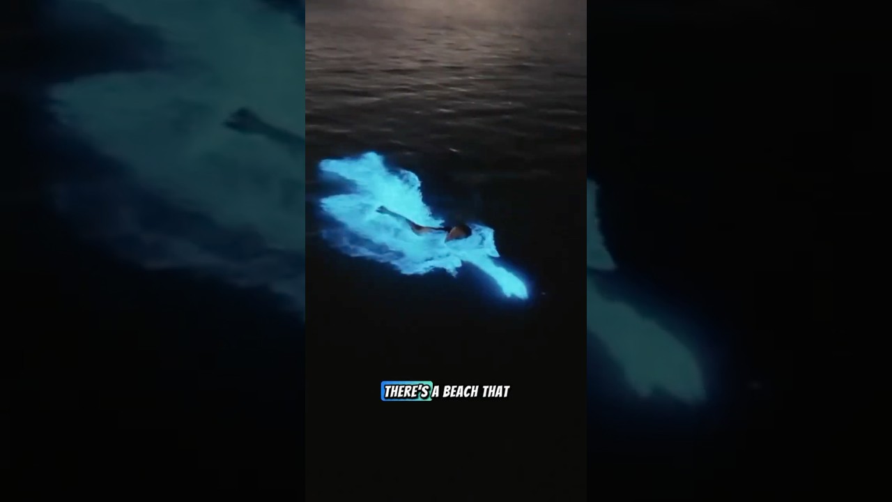 Looks Like Magic: This Beach Comes Alive with Light After Dark!