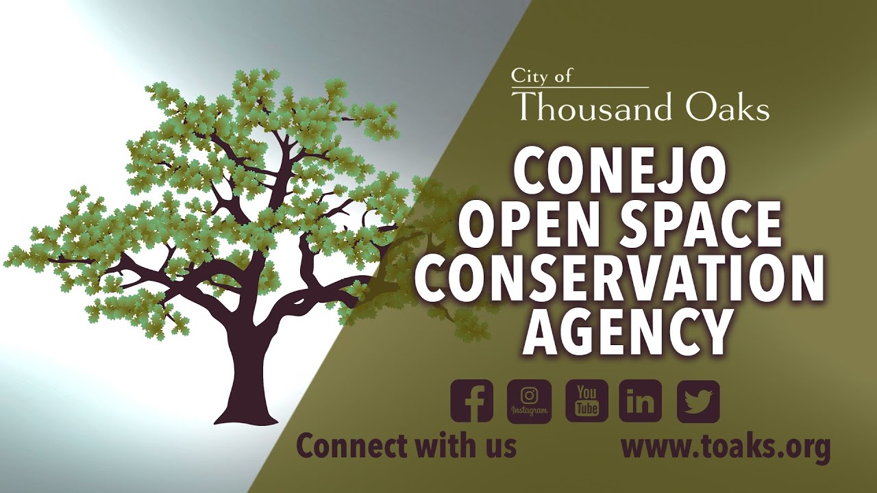COSCA Board Special Meeting - October 29, 2025