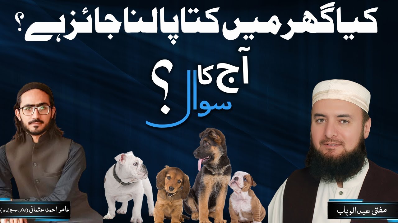 Kya Ghar Mein Kutta Palna Jaiz Hai ? Mufti Abdul Wahab کیا گھر میں کتا پالنا جائز ہے؟