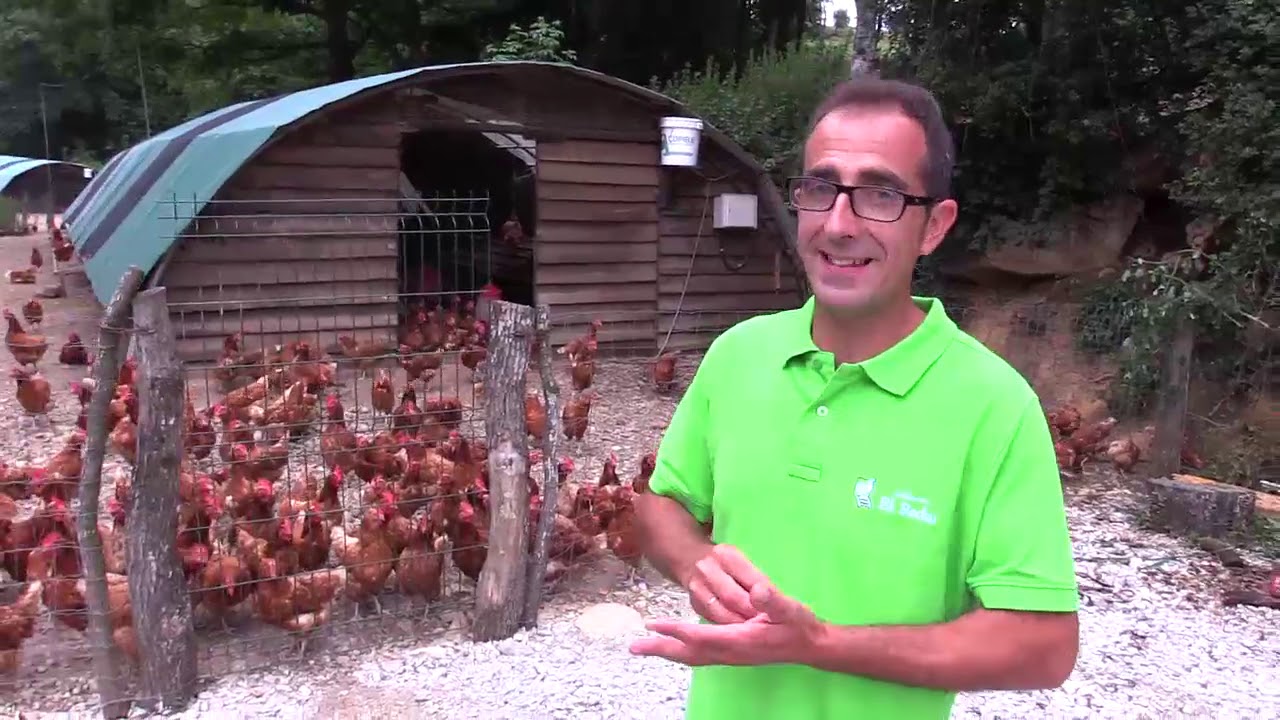 Ganaderos en su habitat | Granja Ecológica en Luey | 27.7.2019