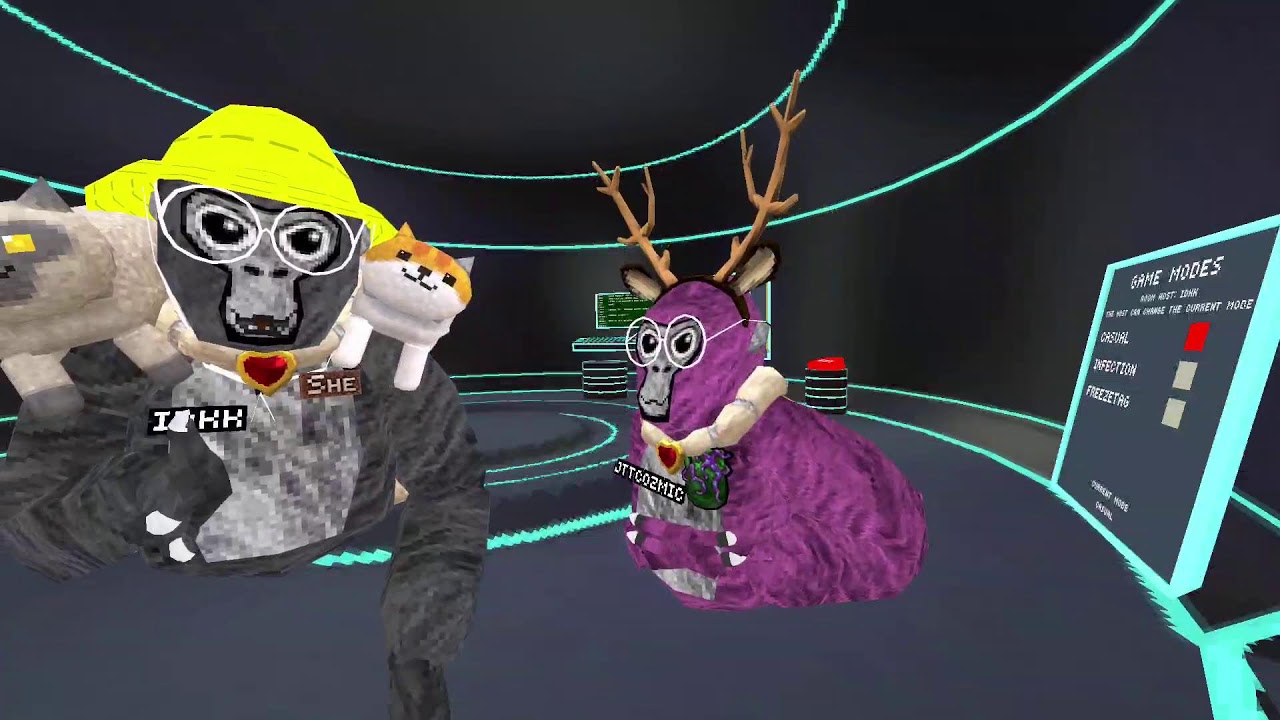 Meta Quest Broadcast | Powered by LIV