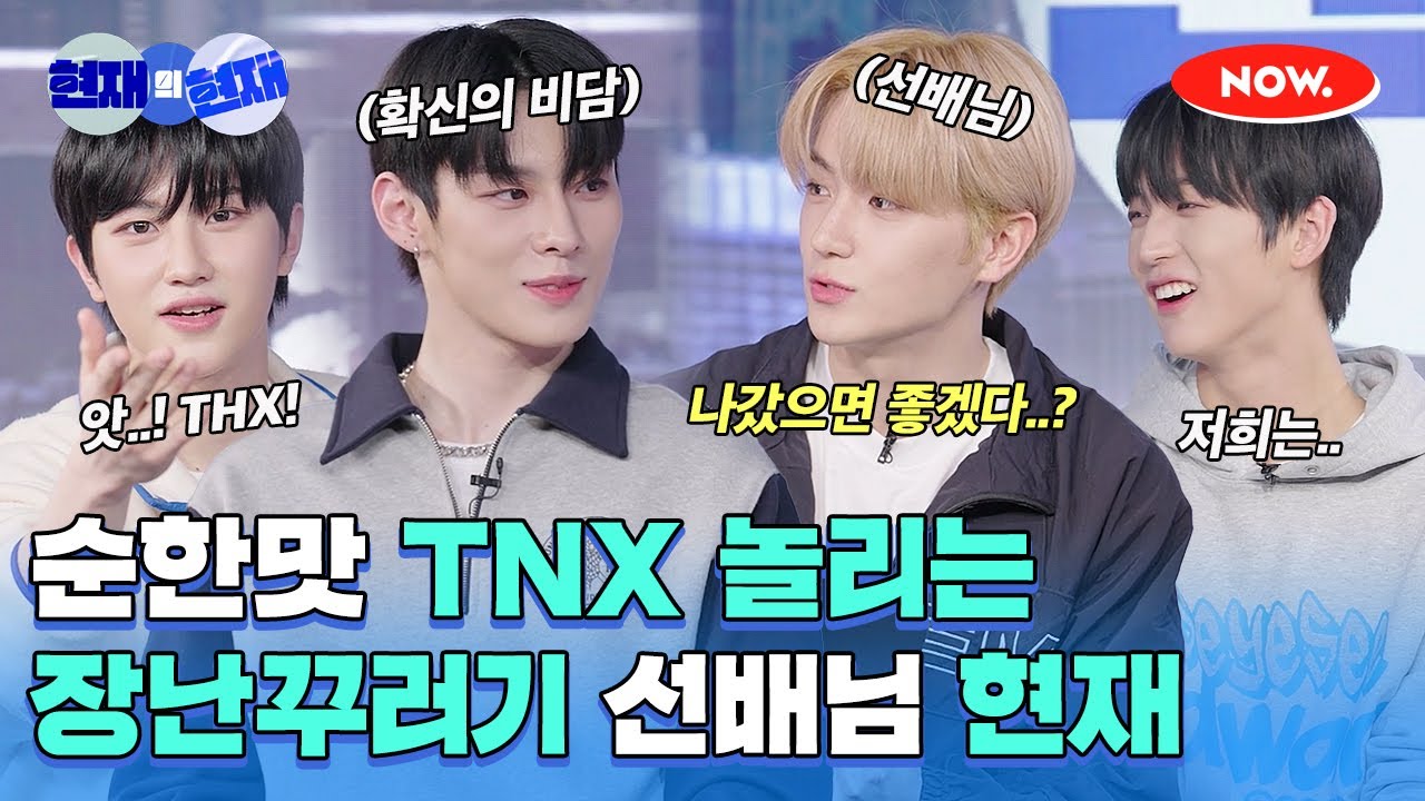 순한맛 TNX 놀리는 장난꾸러기 더보이즈 현재 SBN🤣 [현재의 현재]ㅣ네이버 NOW.