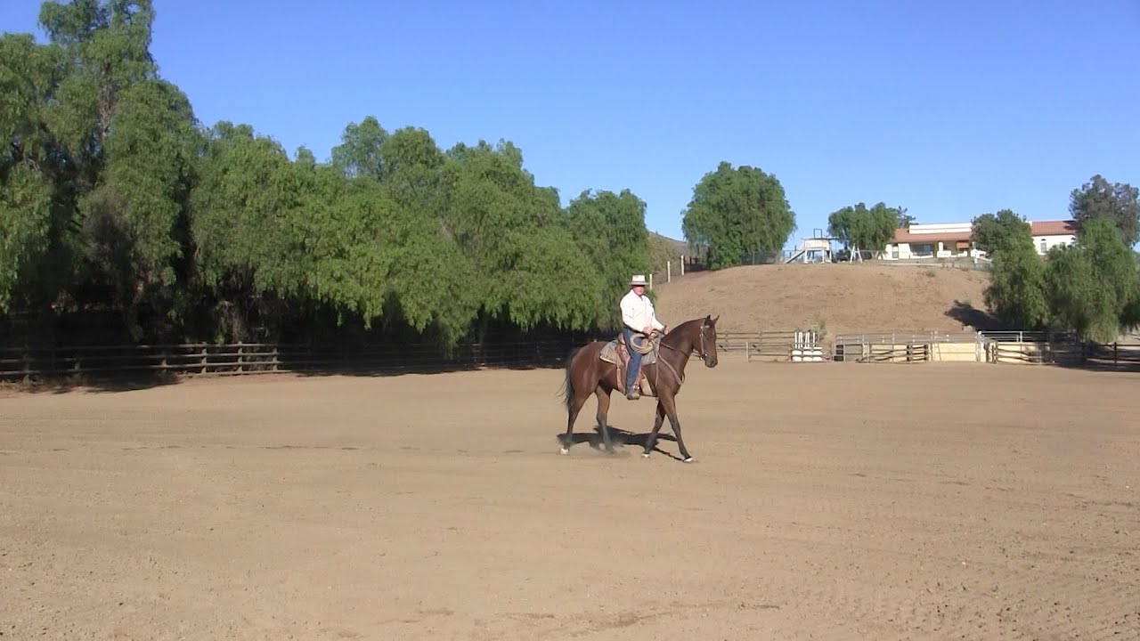 From the Archives: Pat Explains the Missing Link Snaffle