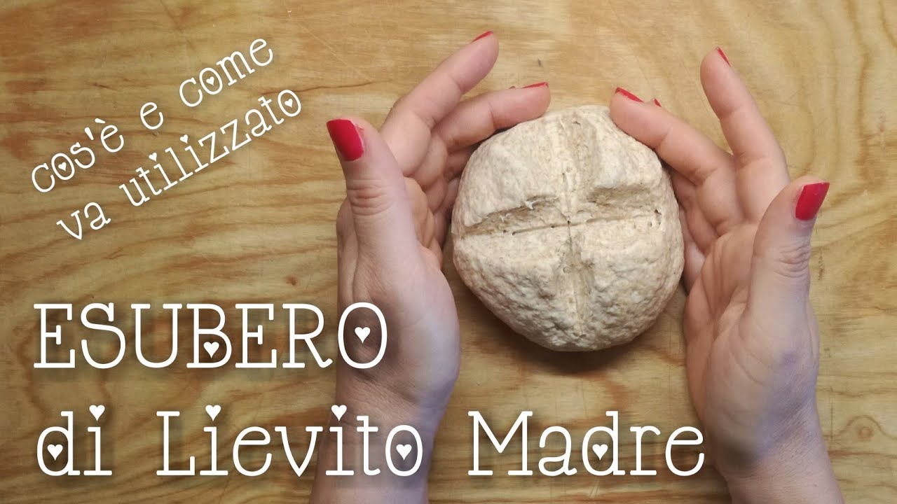 ESUBERO di LIEVITO MADRE. Che cos'è e come va usato e conservato