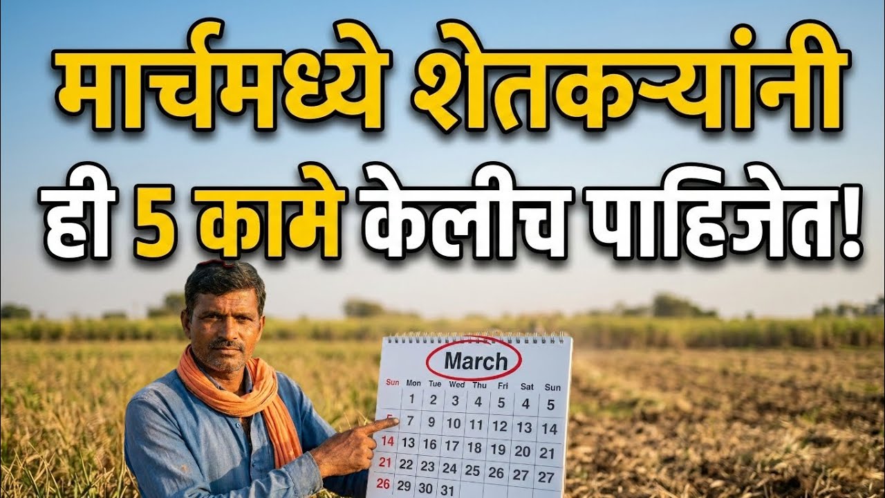 मार्चमध्ये शेतकऱ्यांनी ही 5 कामे केलीच पाहिजेत! नाहीतर उन्हाळ्यात मोठं नुकसान | Summer Farming Plan