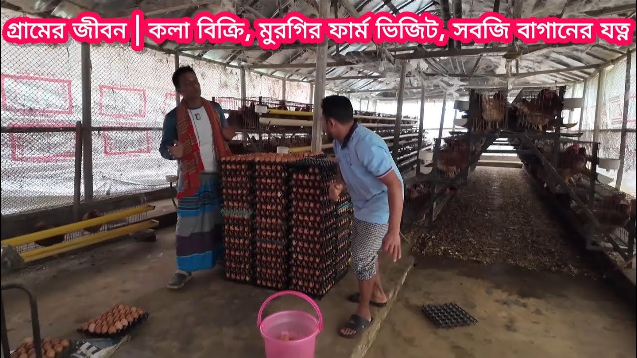 গ্রামবাংলার একদিন | বাগানের কলা বিক্রি, বড় ডিমের ফার্ম, গেস্ট হাউস আপডেট 🌿