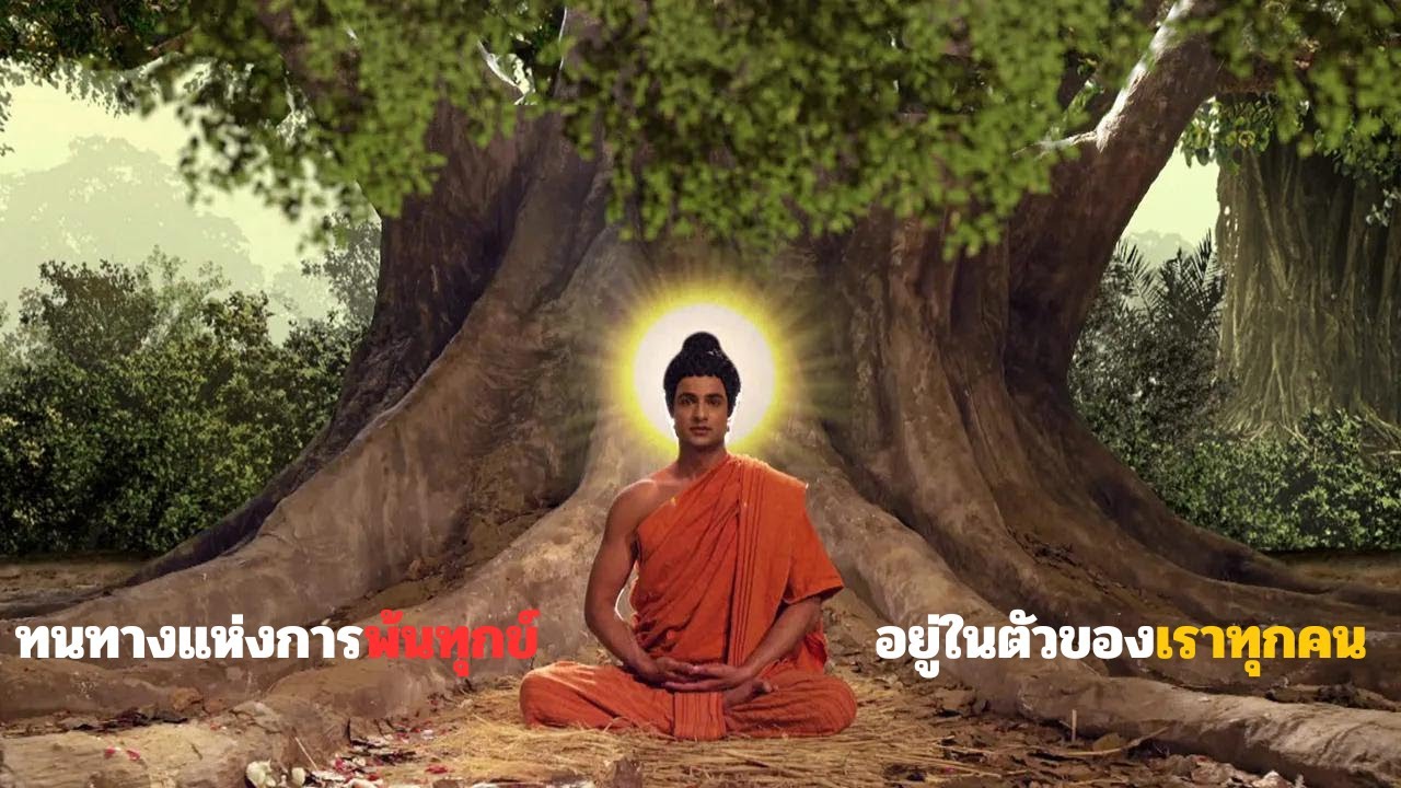 รวมคำสอนของพระพุทธเจ้า ที่เป็นแก่นแท้และสำคัญหลังการตรัสรู้  I หนังดี มีประโยชน์  EP.3